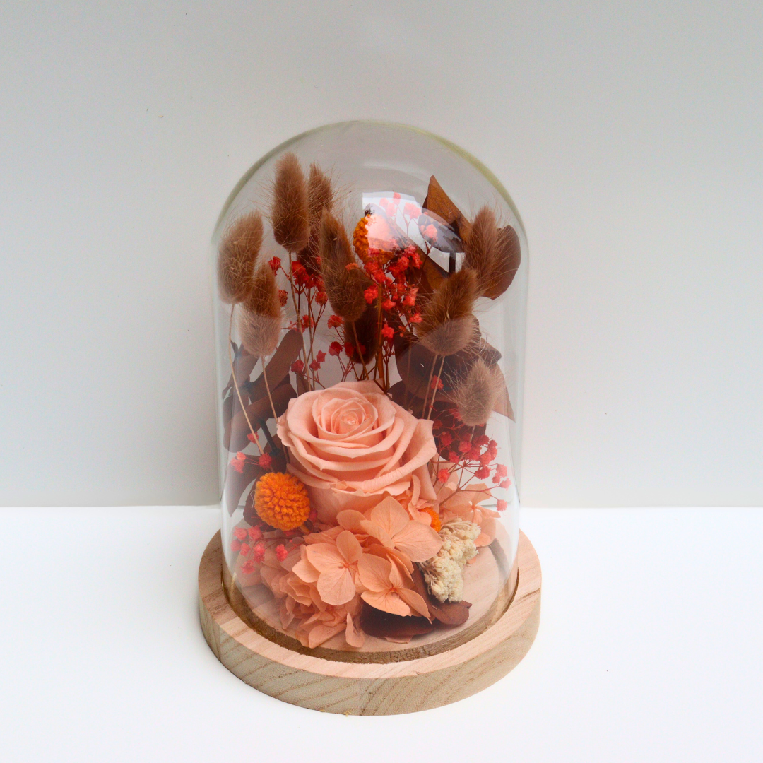 Cloche Rue de l'Orangerie