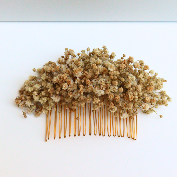 Peigne Fleurs Stabilisées Rue de Belleville