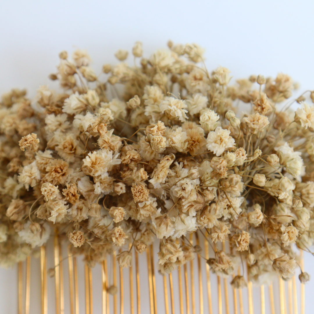 Peigne Fleurs Stabilisées Rue de Belleville