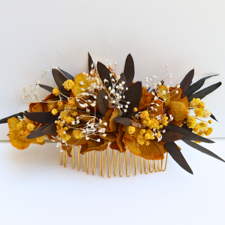 Peigne Fleurs Stabilisées Rue Cassini