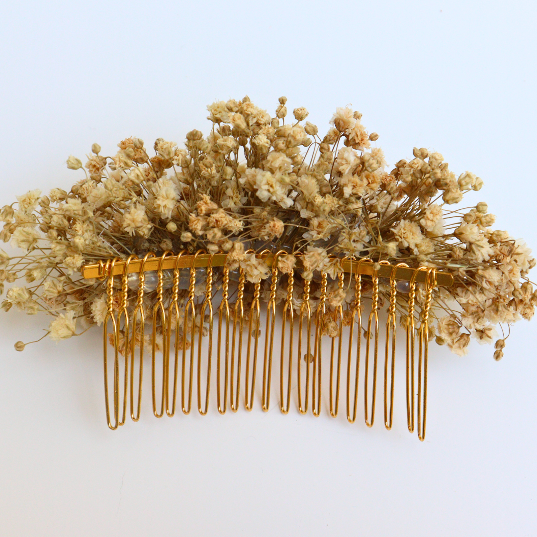 Peigne Fleurs Stabilisées Rue de Belleville