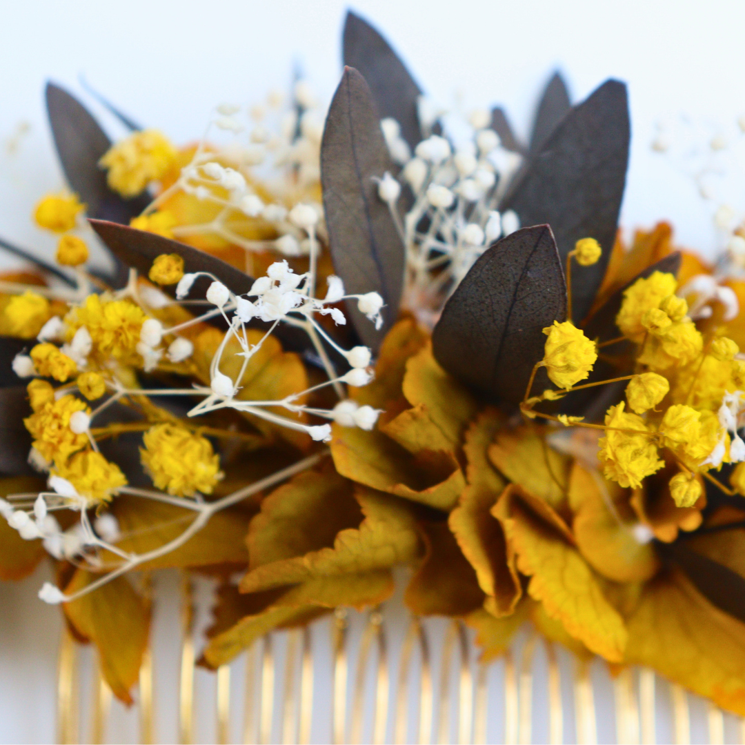 Peigne Fleurs Stabilisées Rue Cassini