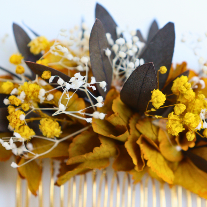 Peigne Fleurs Stabilisées Rue Cassini