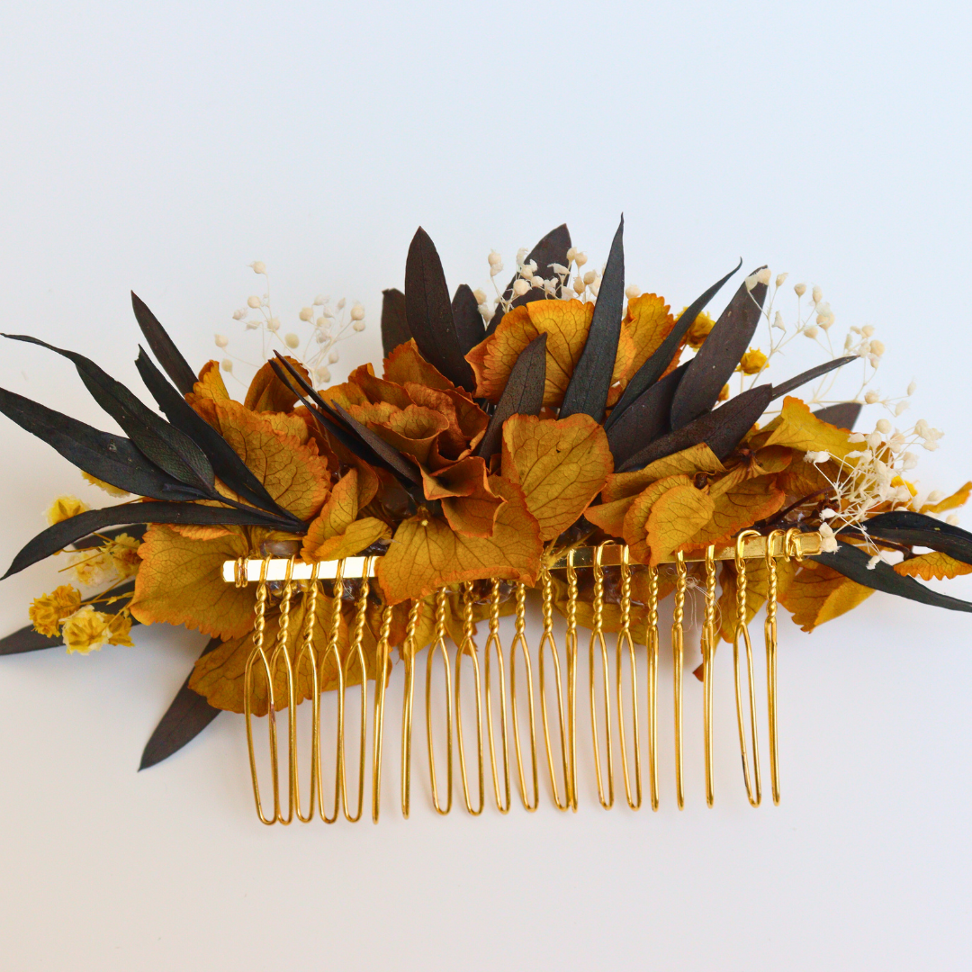 Peigne Fleurs Stabilisées Rue Cassini