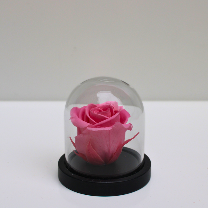 Mini cloche Rue des Dames