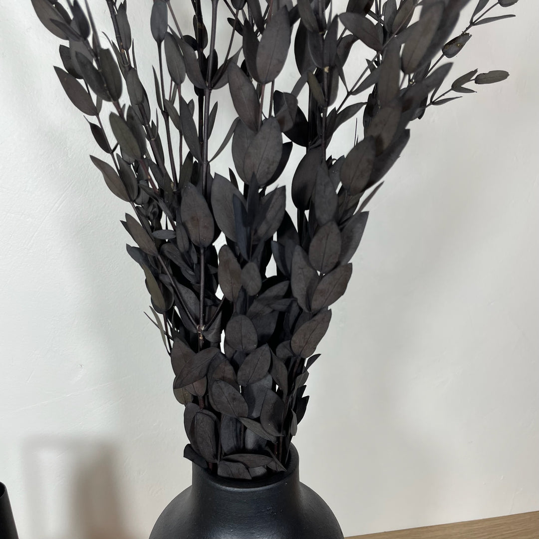 Botte eucalyptus stabilisé - Parvifolia