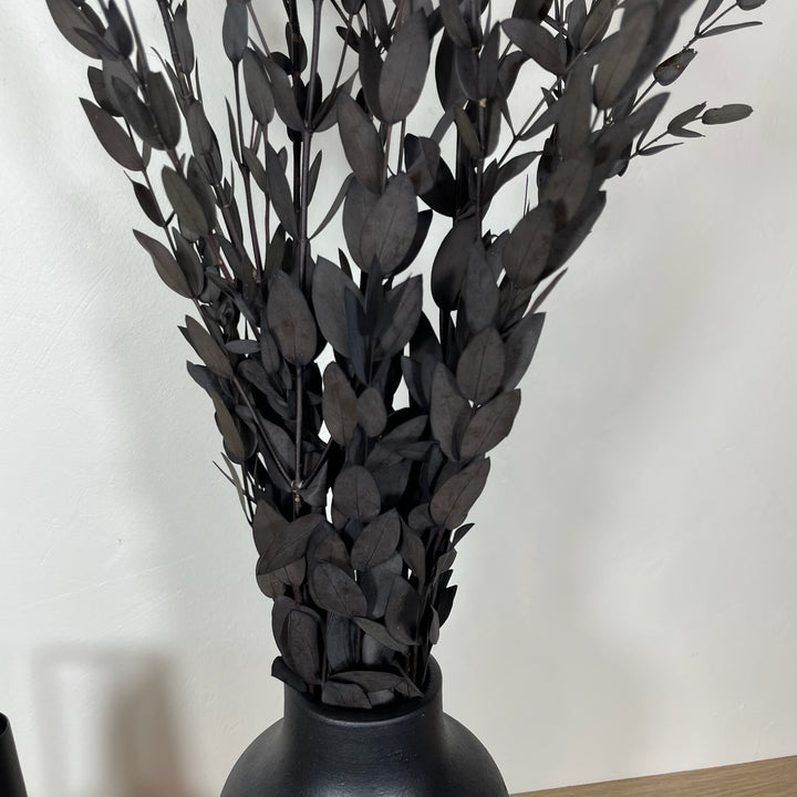 Botte eucalyptus stabilisé - Parvifolia