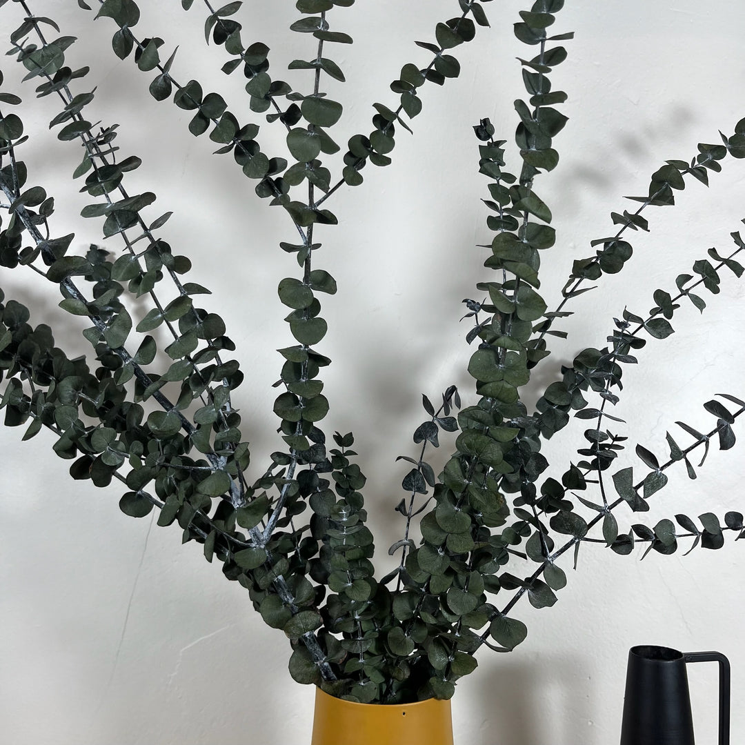 Botte eucalyptus stabilisé - Baby Blue