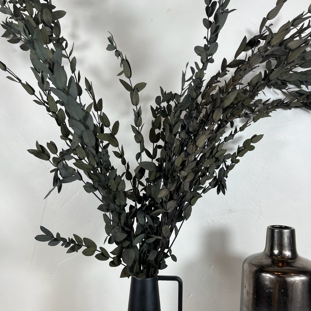 Botte eucalyptus stabilisé - Parvifolia