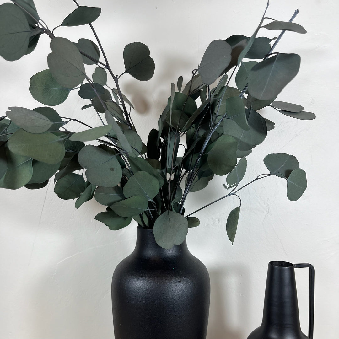 Botte eucalyptus stabilisé - Populus