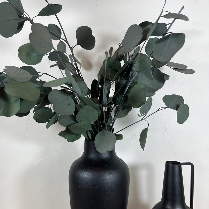 Botte eucalyptus stabilisé - Populus