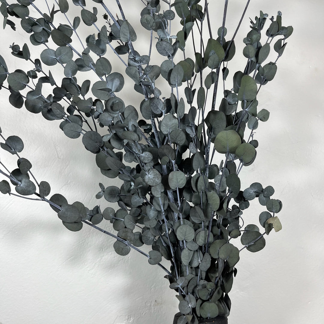 Botte eucalyptus stabilisé - Gunny