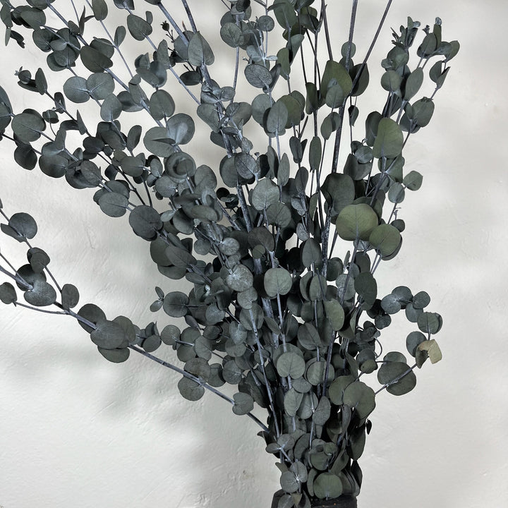 Botte eucalyptus stabilisé - Gunny