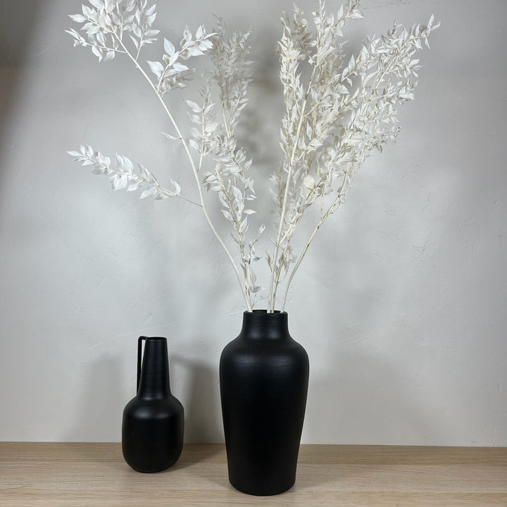 Botte Ruscus blanchis petites feuilles