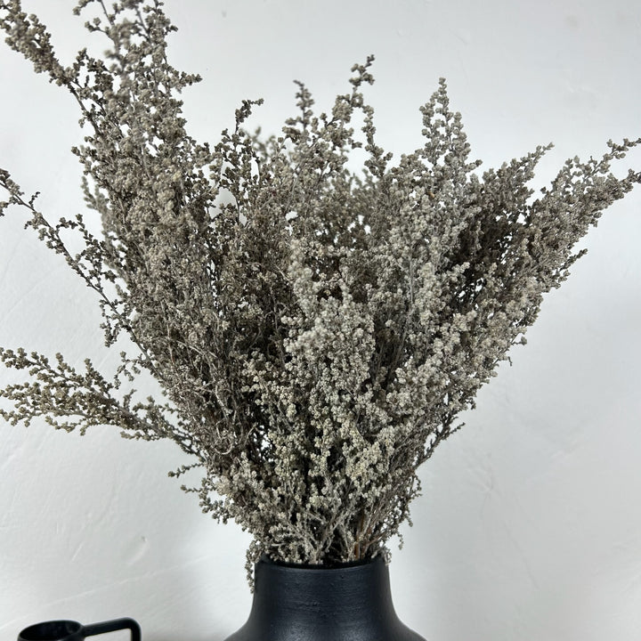 Botte Stoebe Stabilisé