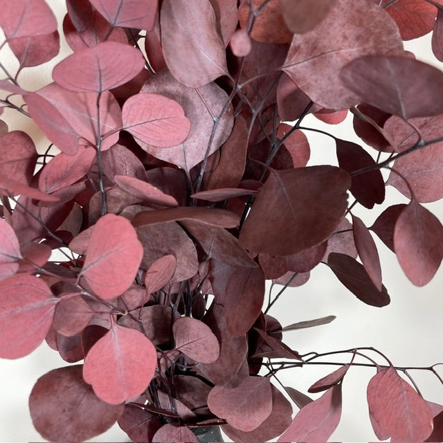 Botte eucalyptus stabilisé - Populus