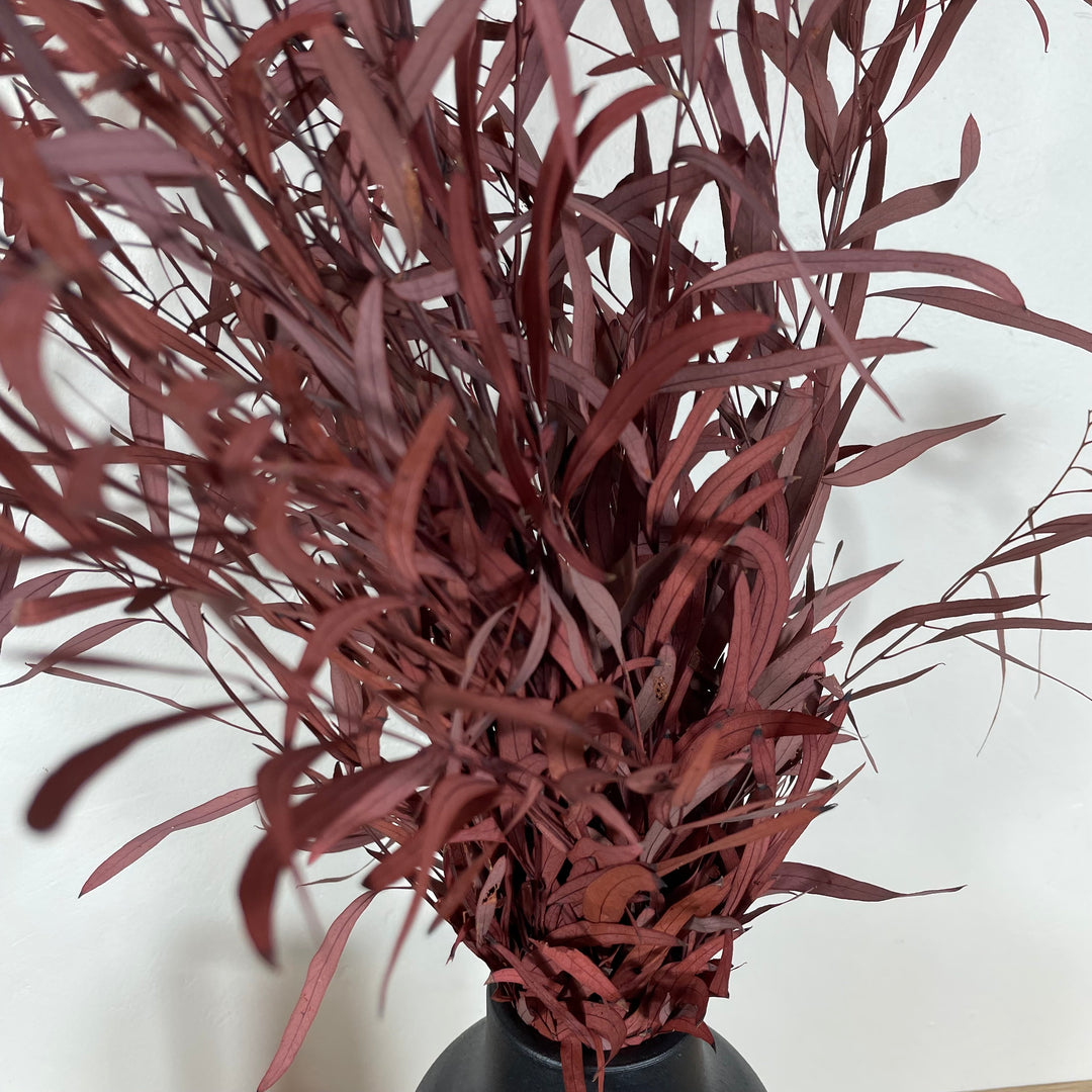 Botte eucalyptus stabilisé - Nicoly