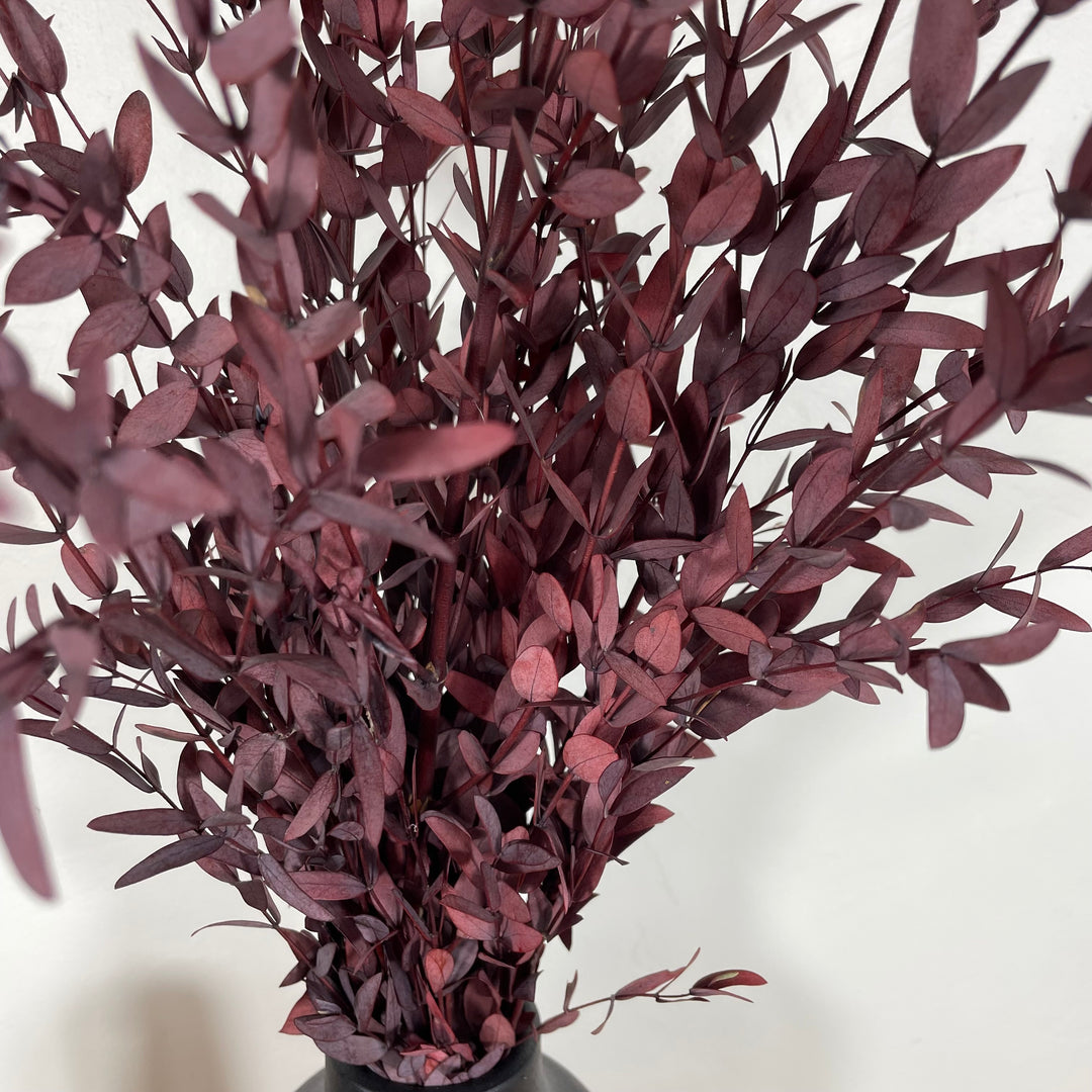 Botte eucalyptus stabilisé - Parvifolia