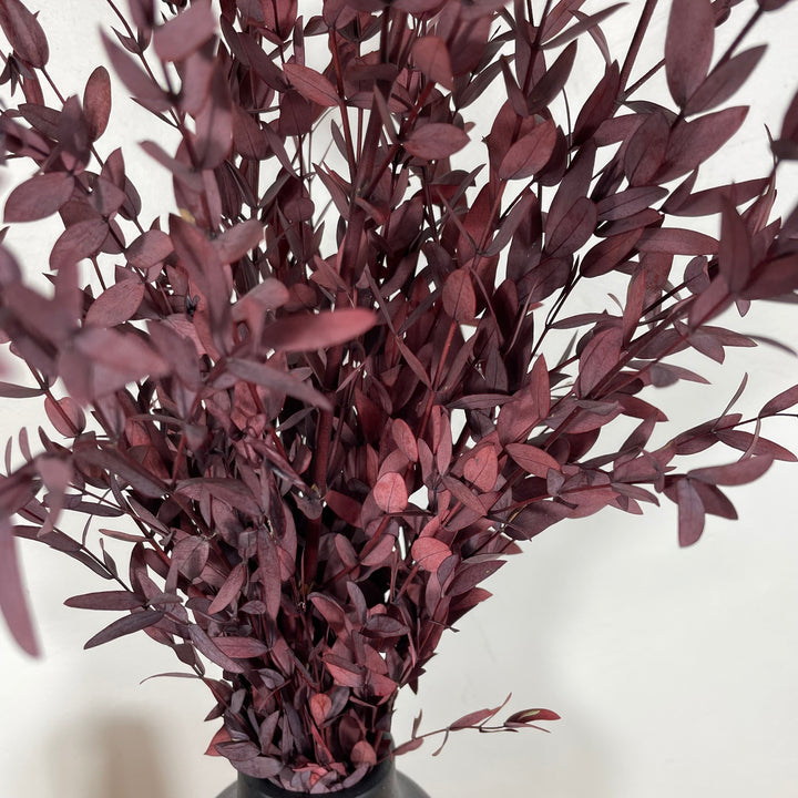 Botte eucalyptus stabilisé - Parvifolia