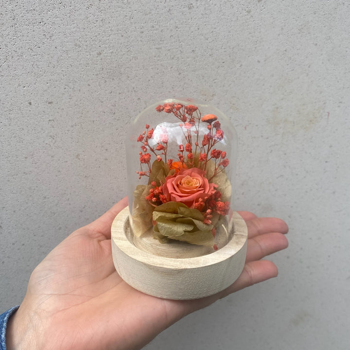 mini bulle orange
