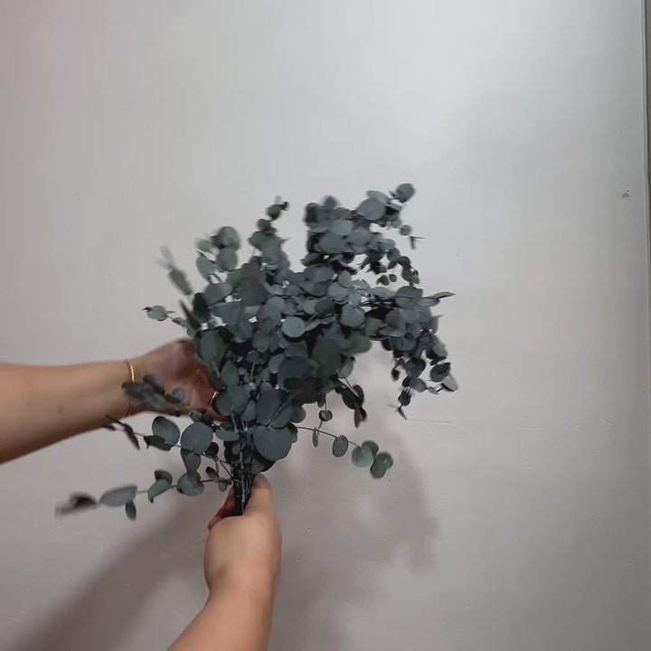 Botte eucalyptus stabilisé - Gunny