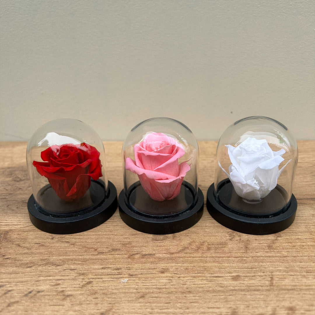 Mini cloche rose stabilisée "Rue des Dames" rouge, rose, blanc | Ateliers Ouchamp