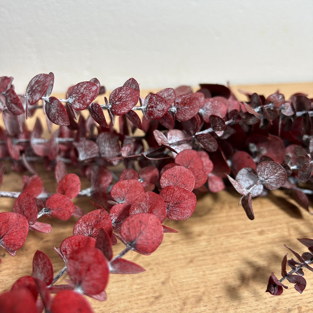 Botte eucalyptus stabilisé - Baby Blue