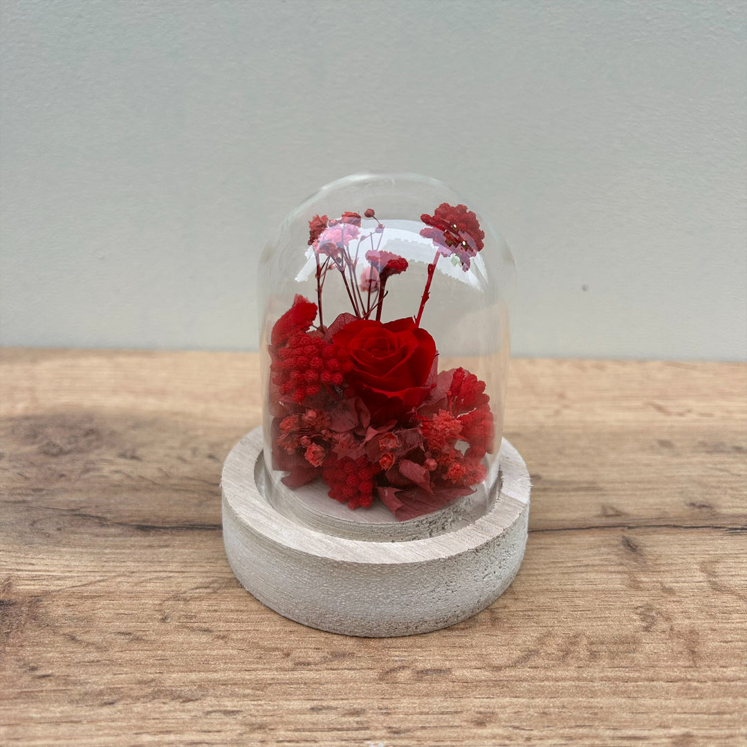 Mini Cloche Rouge  Composé de Rose, hortensia, gypsophile