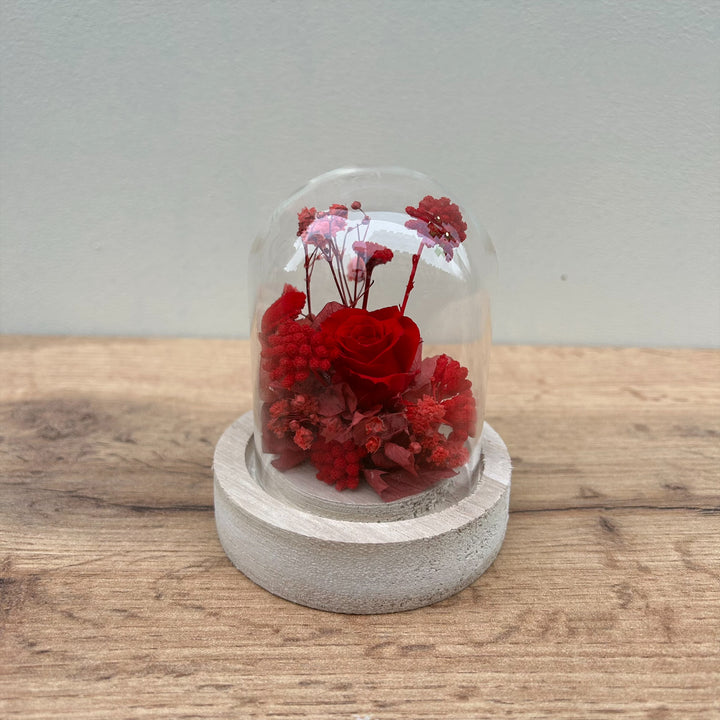 Mini Cloche Rouge  Composé de Rose, hortensia, gypsophile