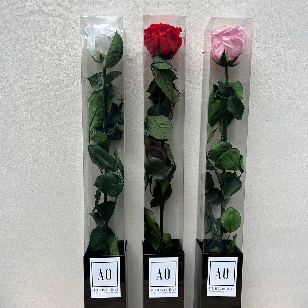 Rose Eternelle Livrée dans sa Boite | Ateliers Ouchamp