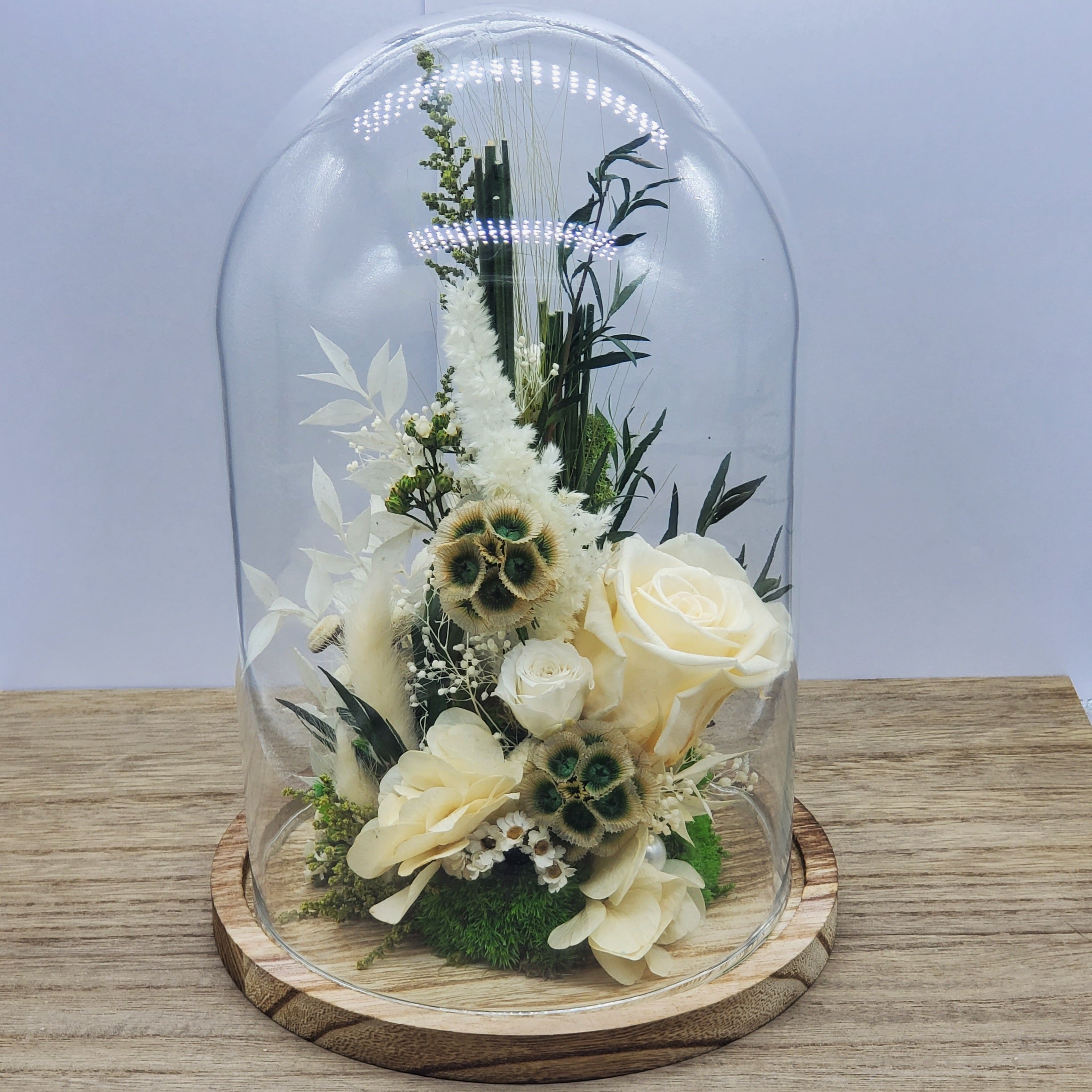 Fleurs sous cloche : Maison du Monde vs Ateliers Ouchamp, lesquelles choisir ?