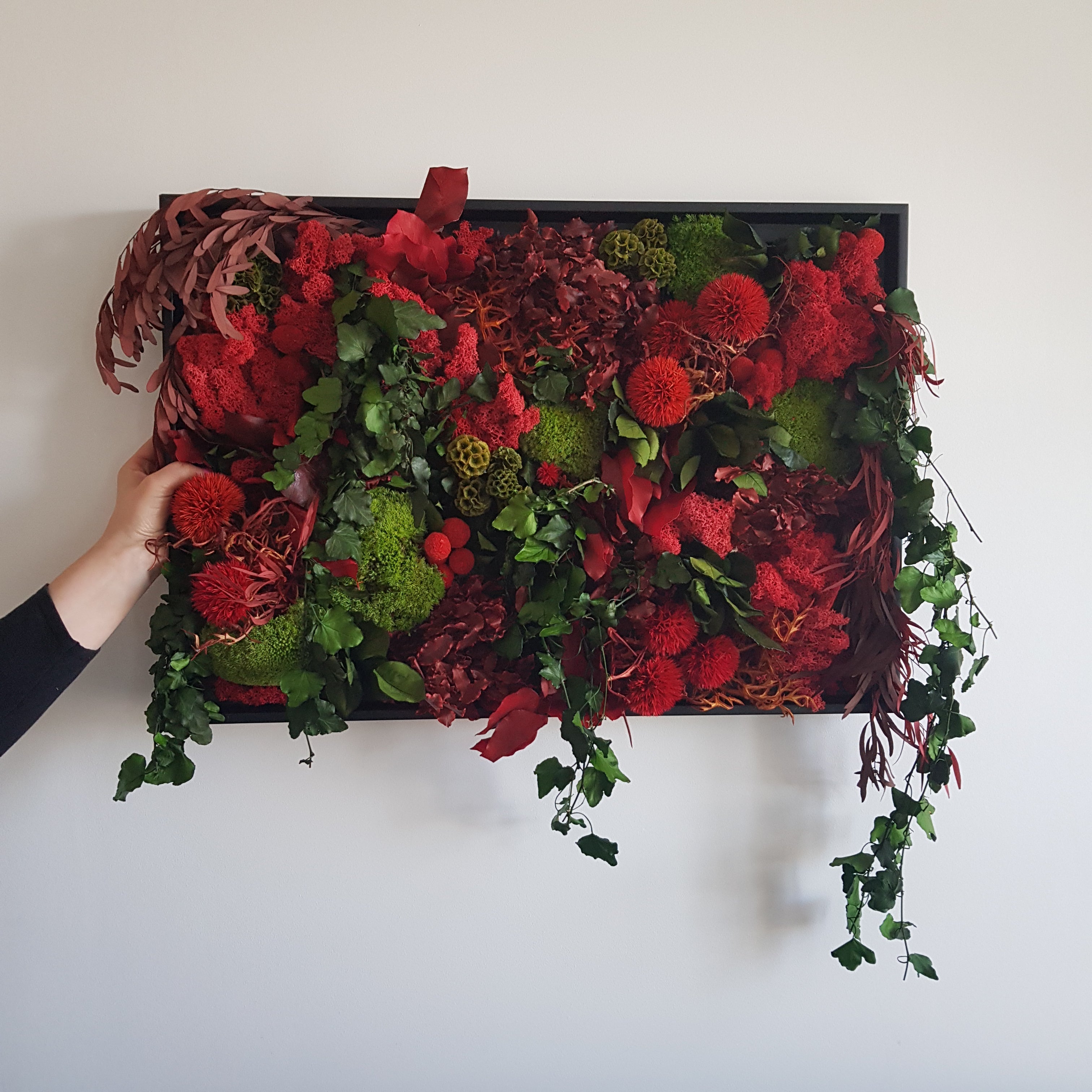 Pourquoi opter pour un mur végétal stabilisé pour votre intérieur ?