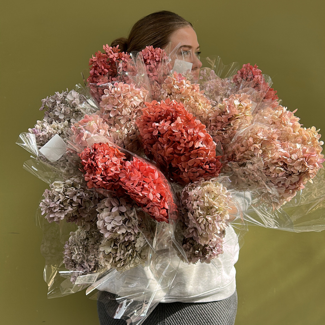 Avec les Hortensias stabilisés, c’est l’été toute l’année !