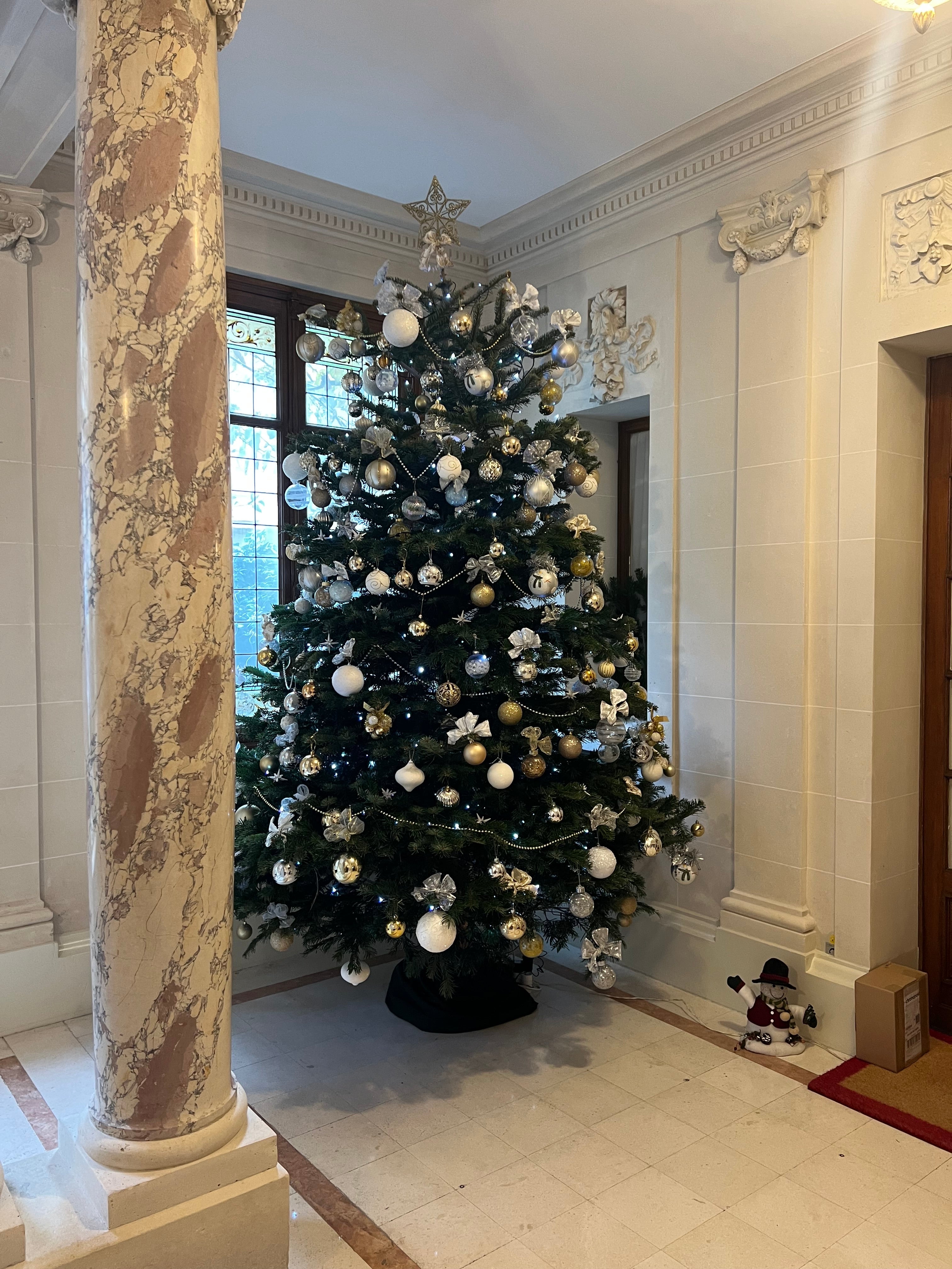 Un Noël magique avec des fleurs qui ne fanent pas