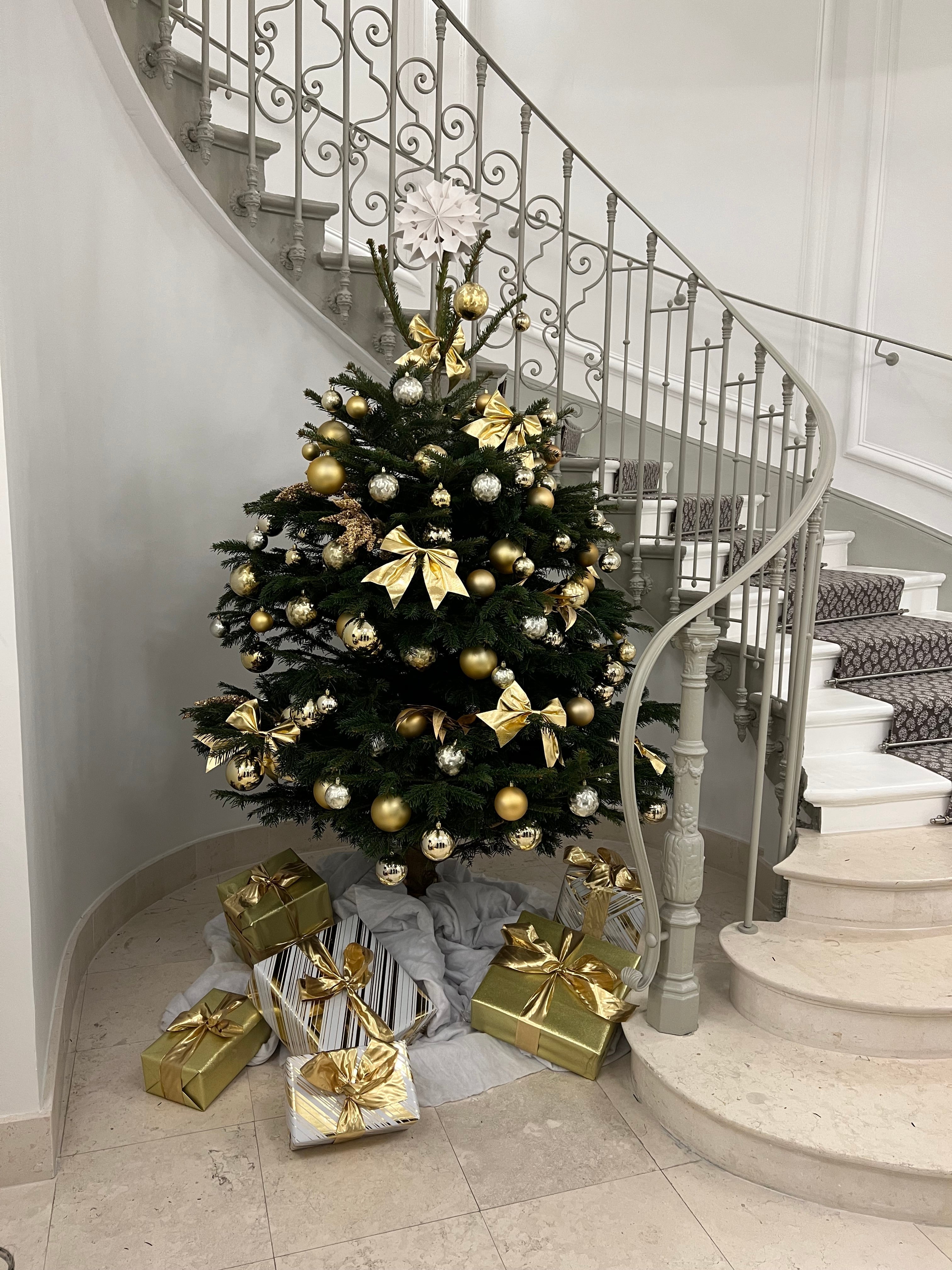 Comment garder votre sapin de Noël frais et éclatant ?