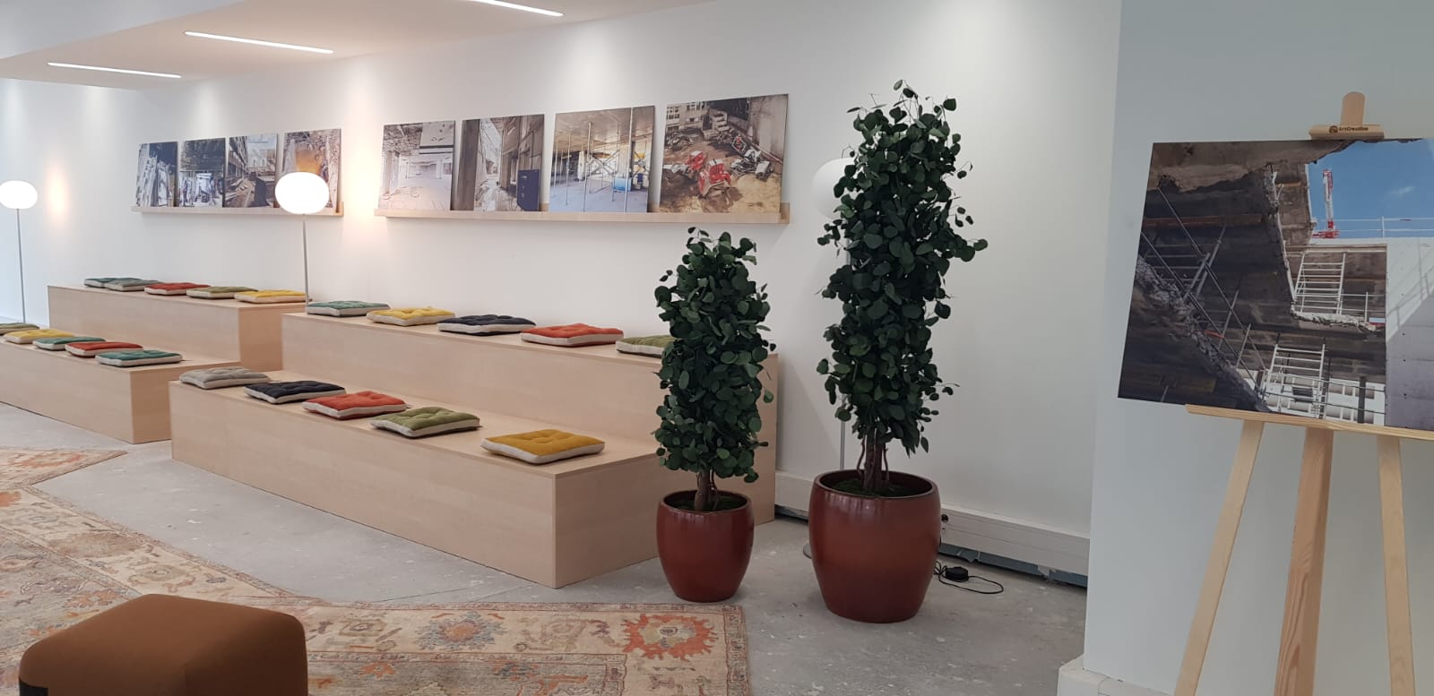 Les différentes sortes de plantes et arbres stabilisés