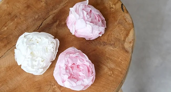 LA SIGNIFICATION DES PIVOINES SELON LEUR COULEUR