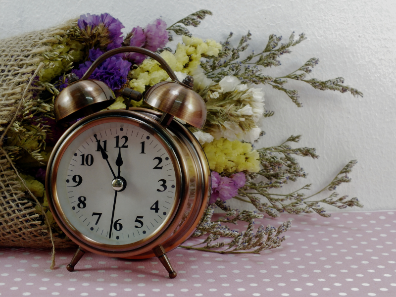 Durée d'utilisation des fleurs stabilisées : combien de temps durent-elles vraiment ?