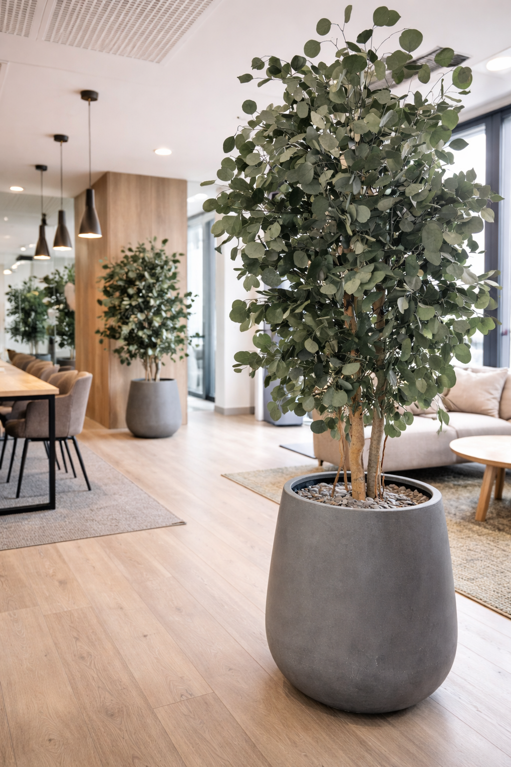 Comment entretenir une plante ou un arbre stabilisé ? Guide complet