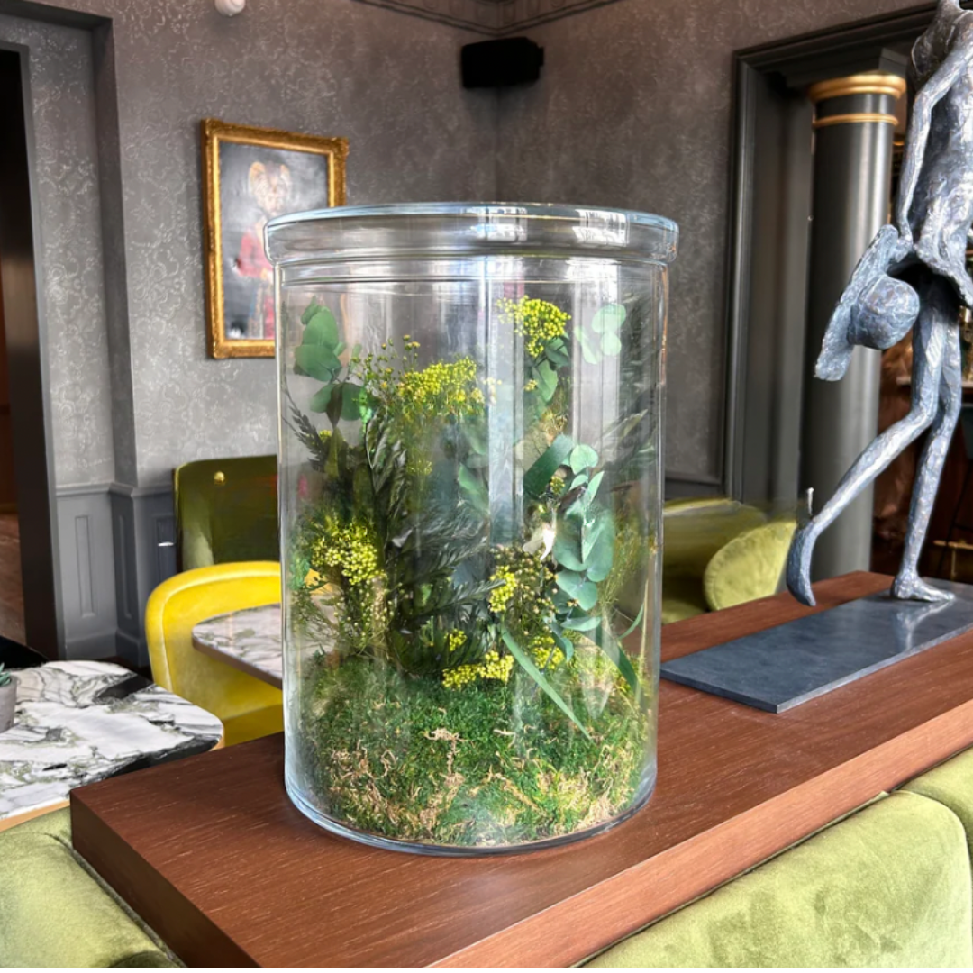 Apportez une touche de verdure à vos intérieurs avec un terrarium