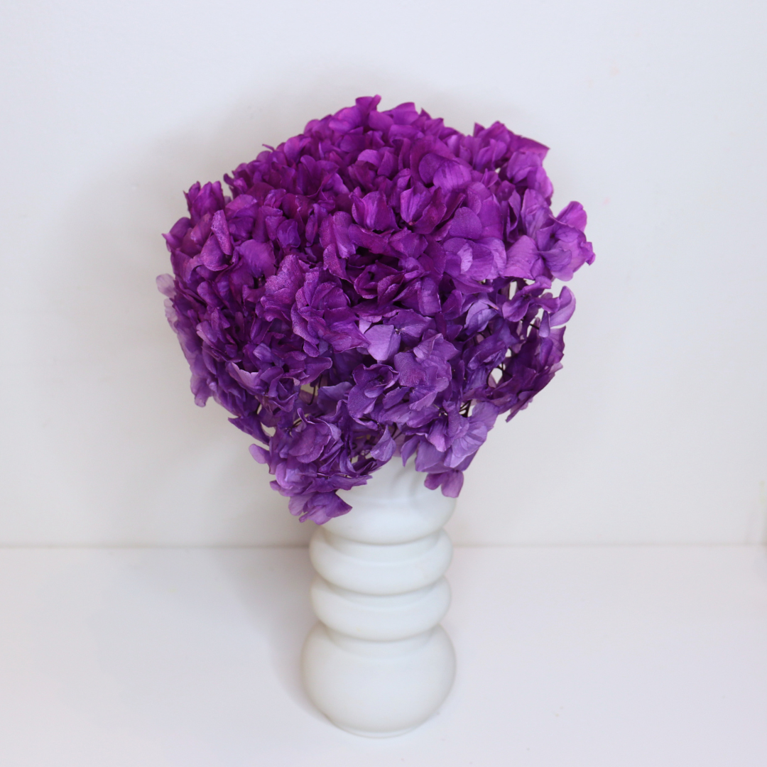 Tête Hortensia stabilisé