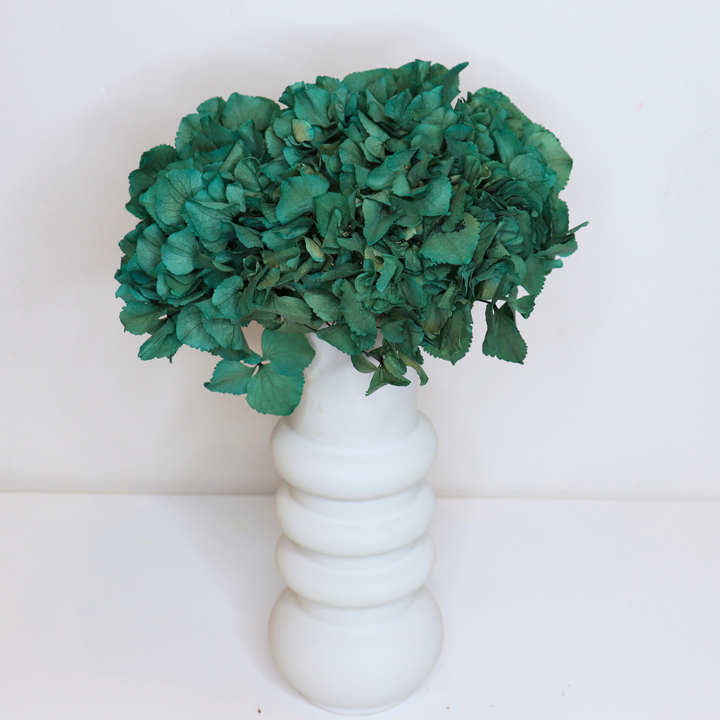 Tête Hortensia stabilisé
