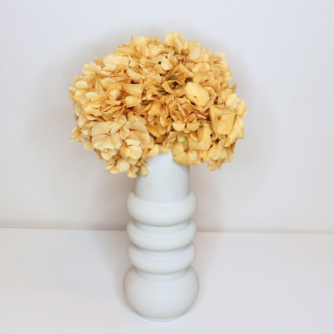 Tête Hortensia stabilisé