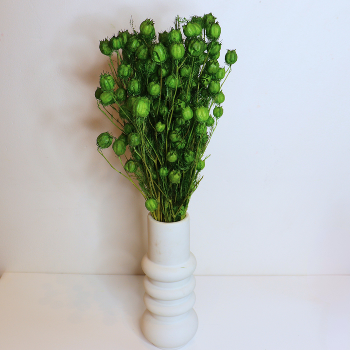 Botte Nigella séchée