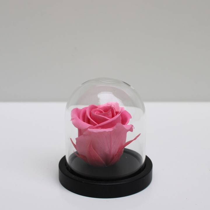 Mini cloche "Rue des Dames"
