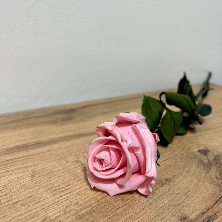 Bouquet de roses éternelles