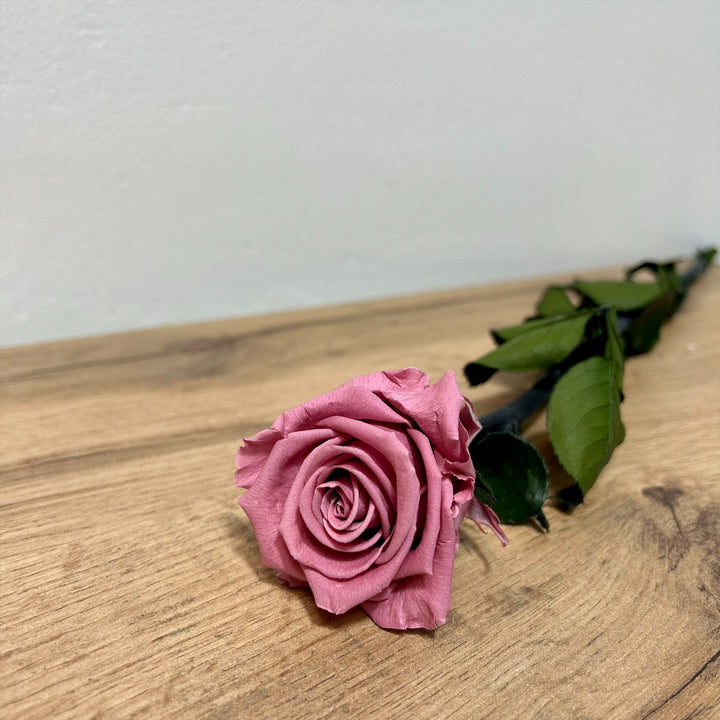 Bouquet de roses éternelles