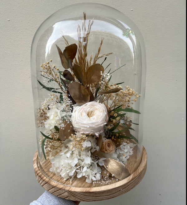 Cloche 