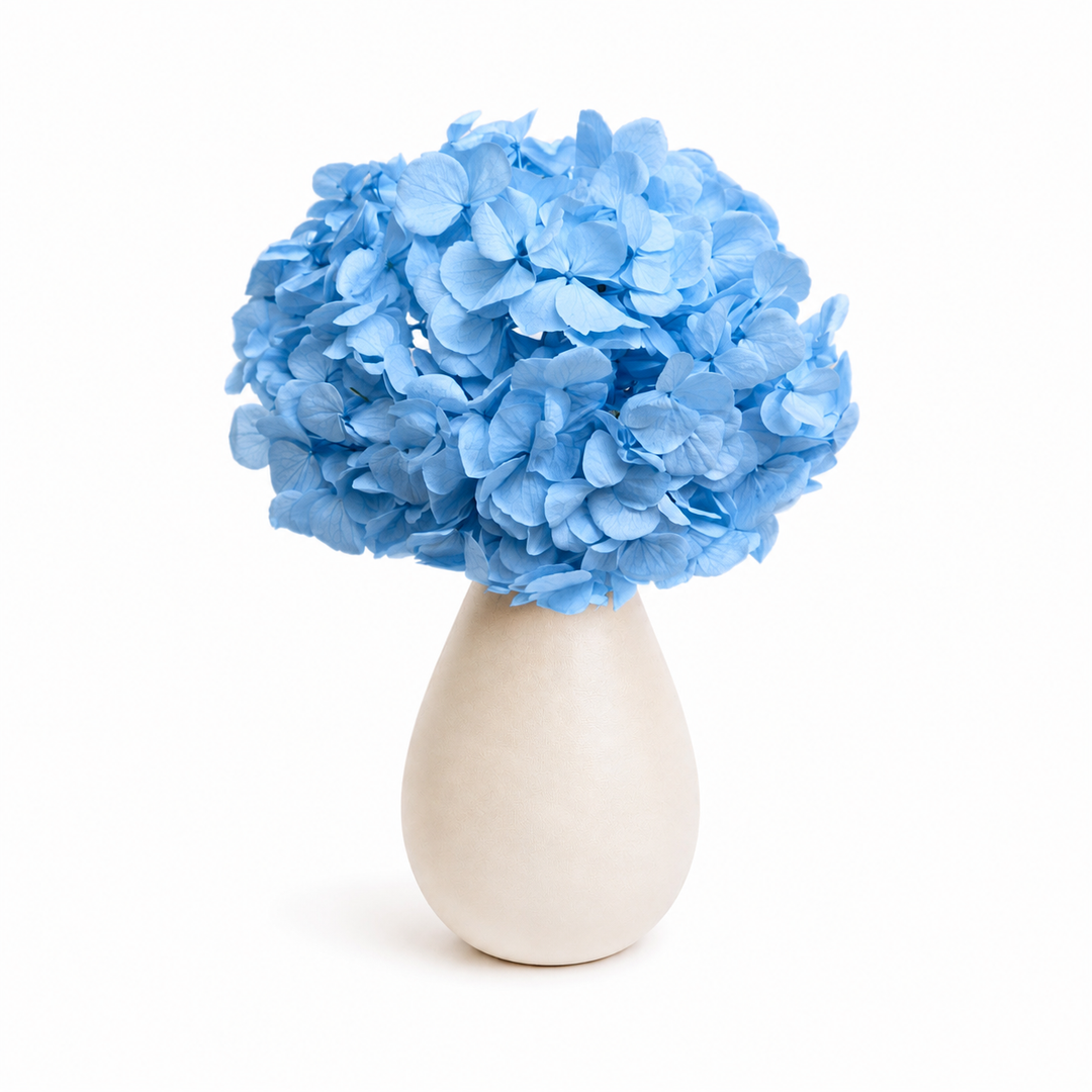 Tête Hortensia stabilisé