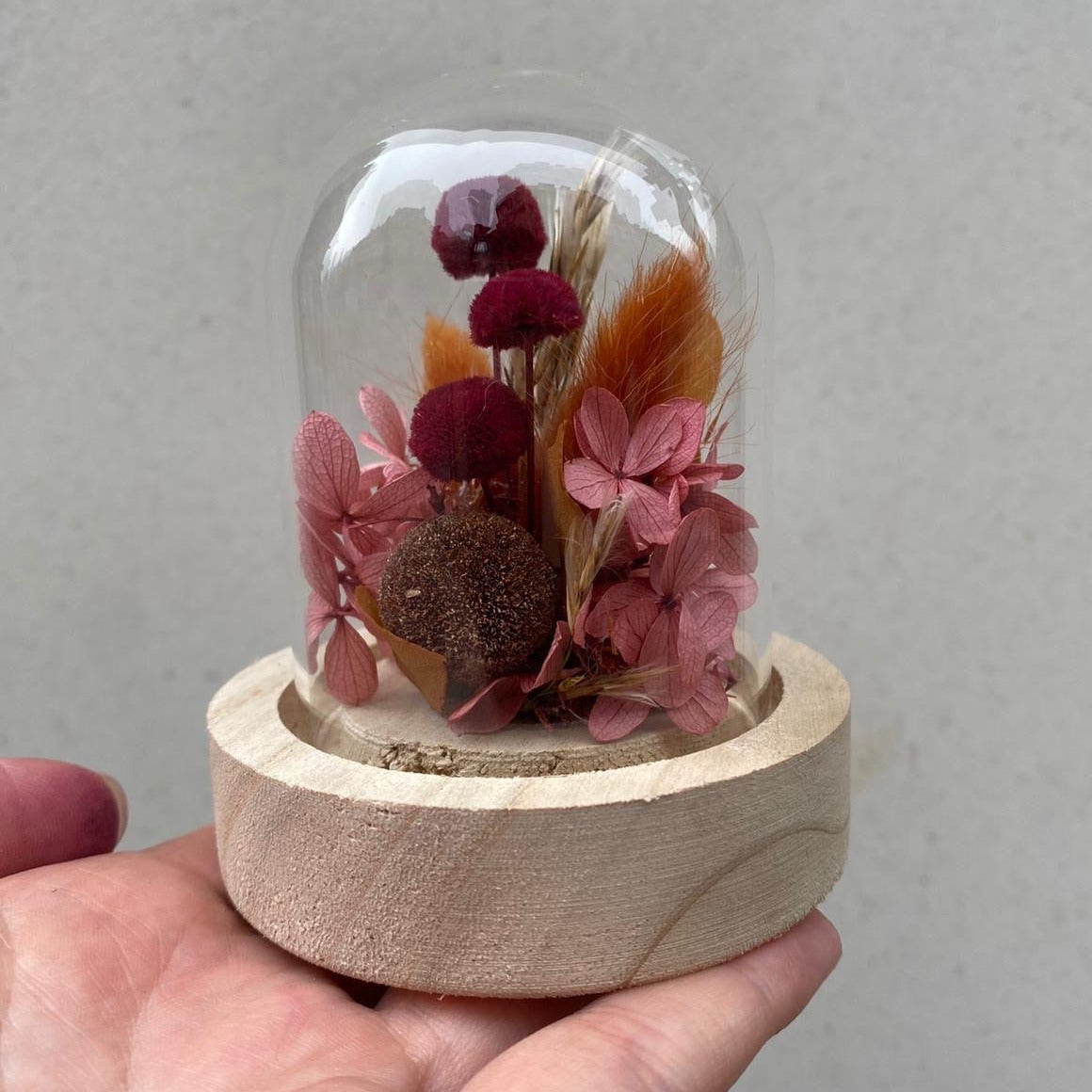Mini cloche fleurs stabilisées rose "Rue Faraday" | Ateliers Ouchamp